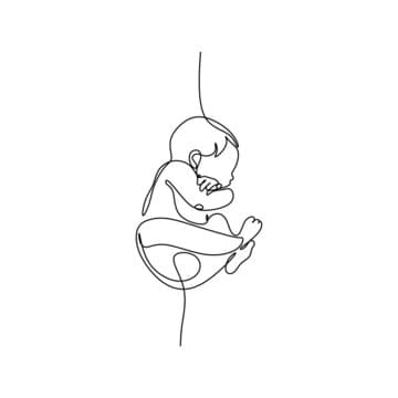 <h3><span style="font-family: Mulish; font-size: 24px;"><strong>Lorsque nous avons fini de préparer votre liste</strong></span></h3>