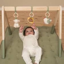 8713291888104-arceau-de-jeu-en-bois-little-farm