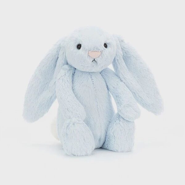 670983069822-bashful-blue-bunny-medium