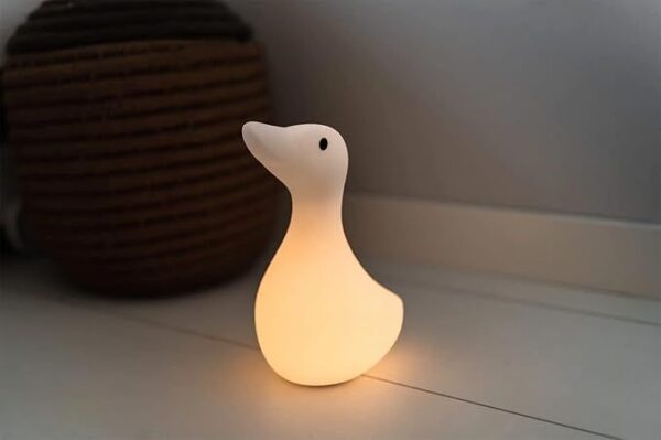 8720726529013-veilleuse-led-flow-amsterdam-liva-oie-blanche