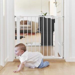 5705548040680-barriere-asta-blanc-2-extensions