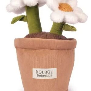 3700335243451-doudou-botanique---les-fleurs