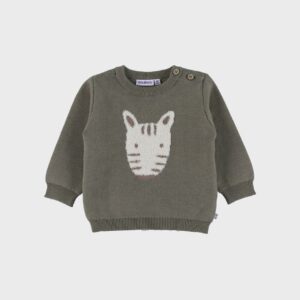 5414220227775-ah-25-pull-en-tricot-kaki-avec-motif-zebre