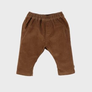 5414220219992-ah---25-pantalon-en-velours-cotele-marron-3m