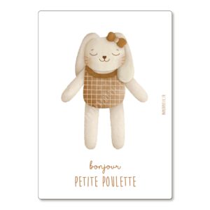 2000000137839-cartecard-doudou-lapinette-blanche