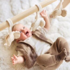 8717329401167-jouets-babygym---elephant-tales