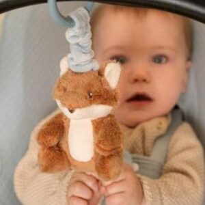 8713291889132-renard-vibrant---forest-friends