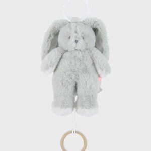 5414220241429-peluche-mini-musicale-20cm---verdi