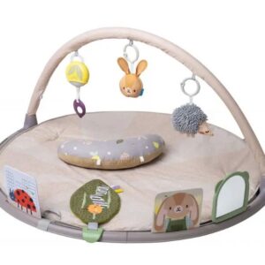 605566133959-tummy-time-activity-gym