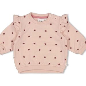 8718751875113-pe---26-sweat-cocinelle-1m