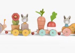 2000000140940-grand-train-dactivites-a-tirer