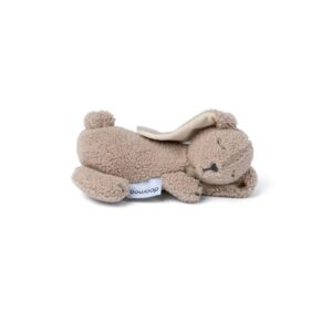 5400653009415-snoogy-bunny-biscuit
