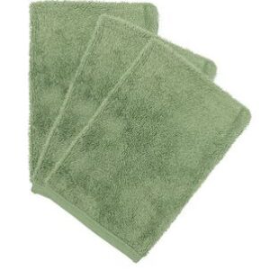 5414546083413-set-de-3-gants-de-toilette-aloe-green
