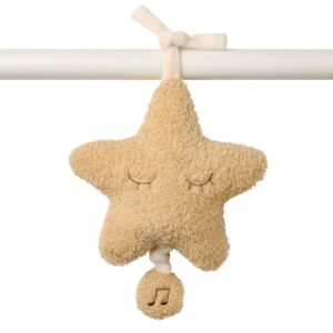 2000000143071-peluche-musicale-etoile-teddy