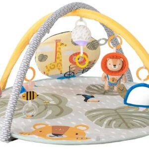 2000000143101-savannah-360-activity-gym